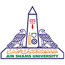 Ain Shams University